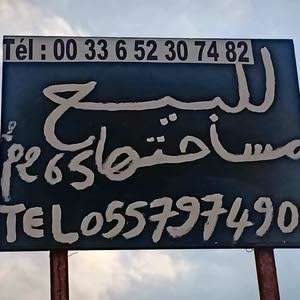 ولاية عين الدفلى خشاب قرب دار شباب