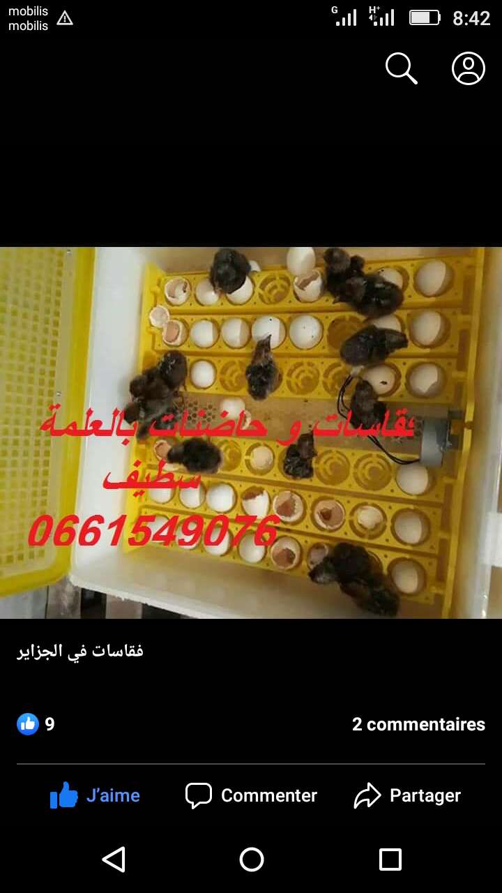حي لعبيدي الجديد