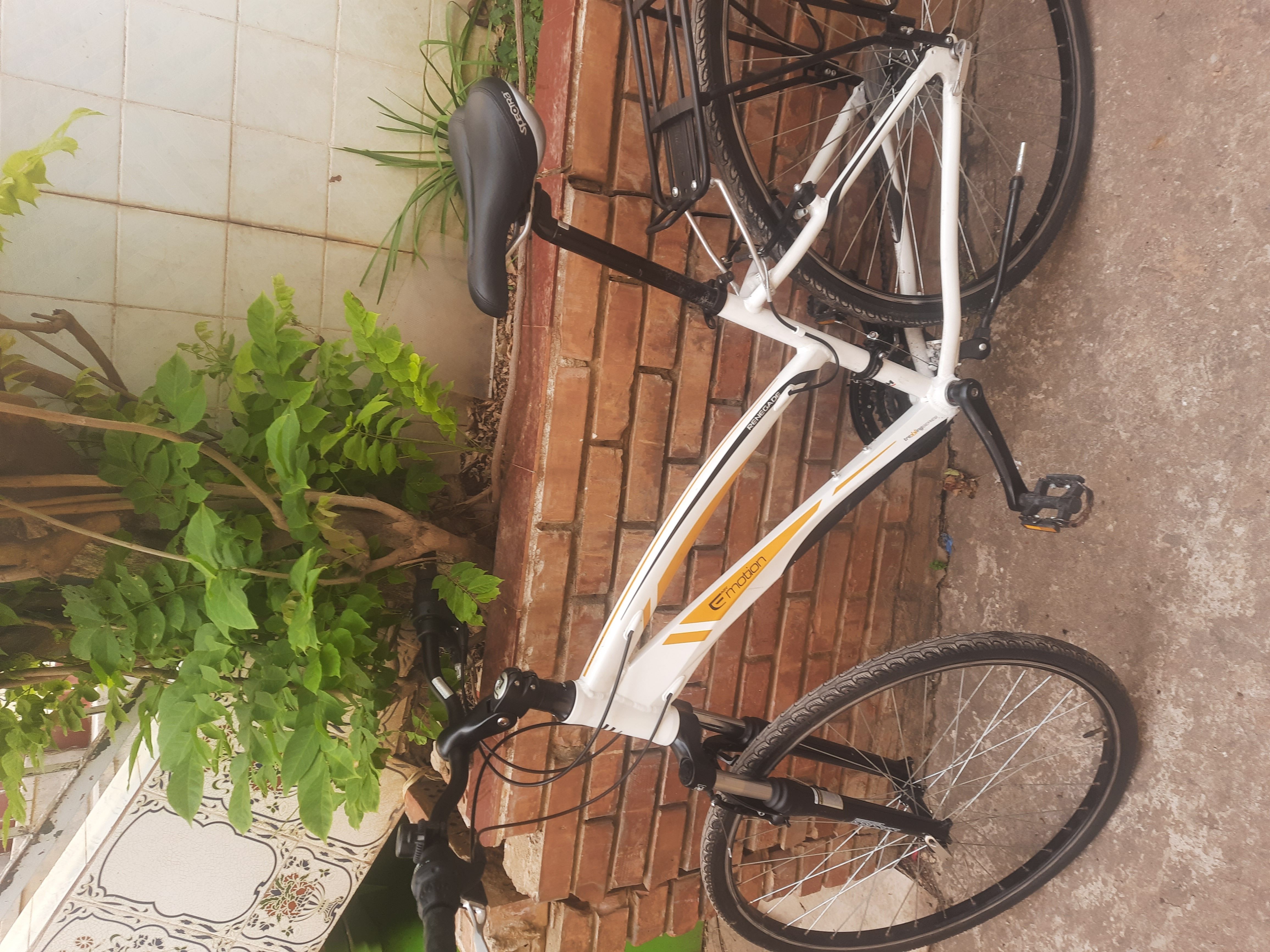 دراجة رائعة